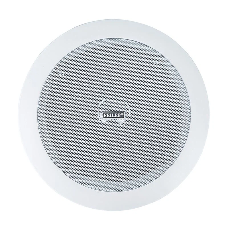 Background Music In Ceiling in Wall Speakers